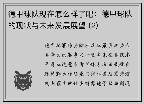 德甲球队现在怎么样了吧：德甲球队的现状与未来发展展望 (2)