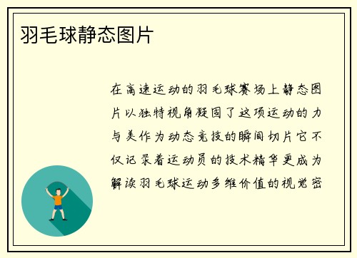 羽毛球静态图片